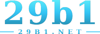 29b1 logo